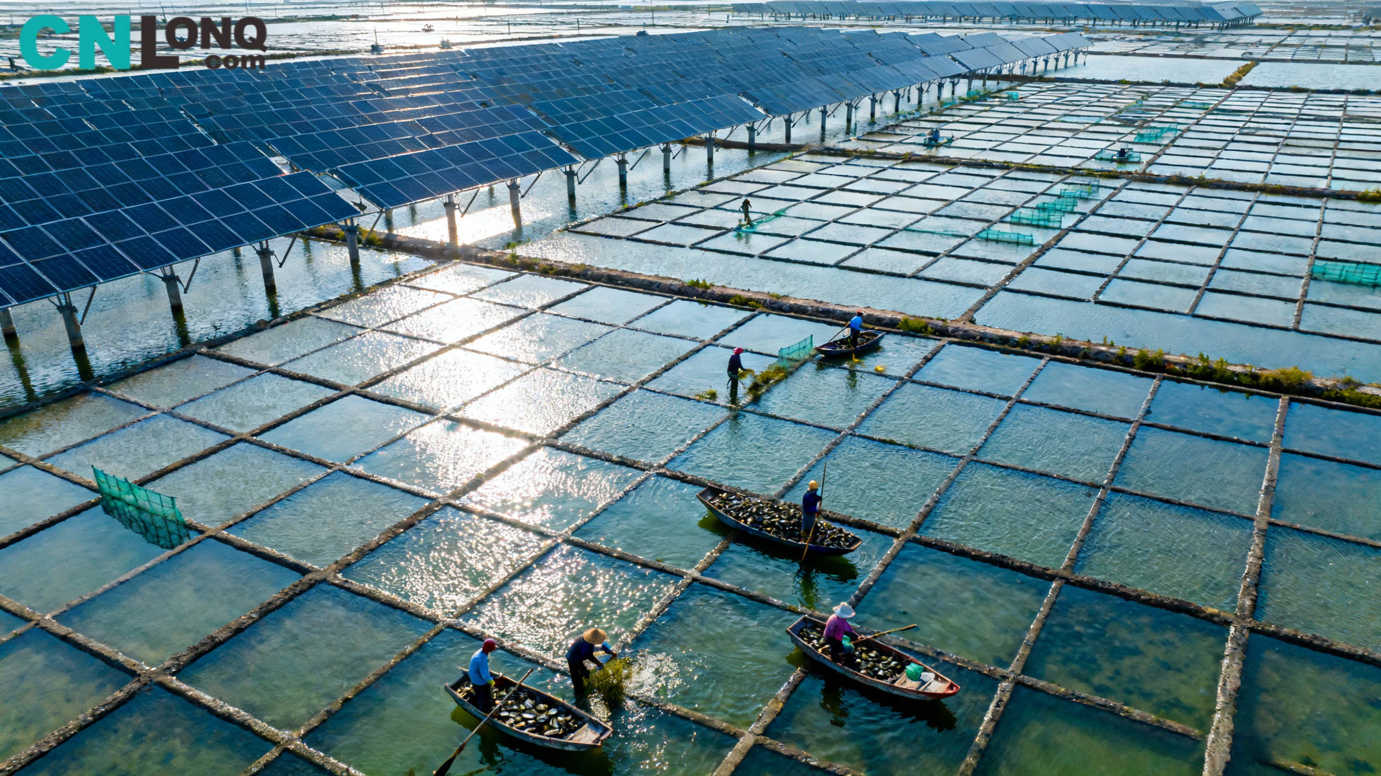 Укупна инвестиција од 1,2 милијарде РМБ! Поље соли Ксиндао Кингкоу 250 МВ „Комплементарно рибарство-солар“ представља почетак